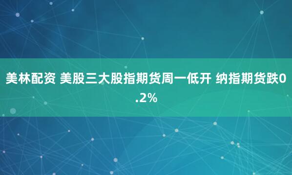 美林配资 美股三大股指期货周一低开 纳指期货跌0.2%