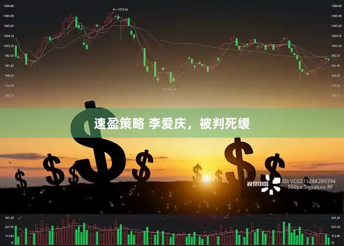速盈策略 李爱庆，被判死缓