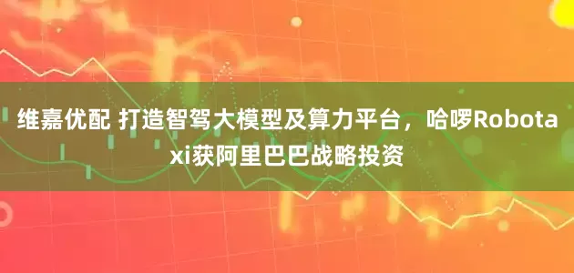 维嘉优配 打造智驾大模型及算力平台，哈啰Robotaxi获阿里巴巴战略投资